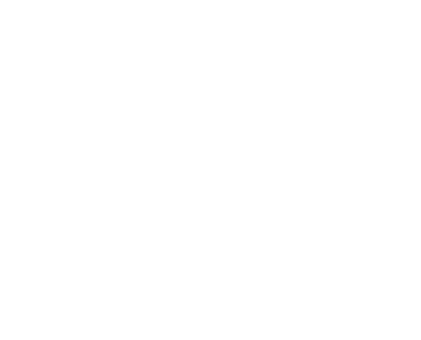 Sponsor