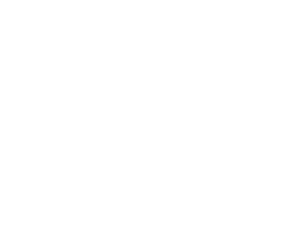 Sponsor